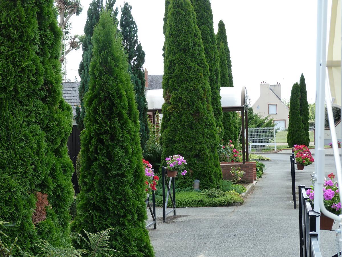 Hostellerie Du Chateau Saint-Pere-sur-Loire Εξωτερικό φωτογραφία
