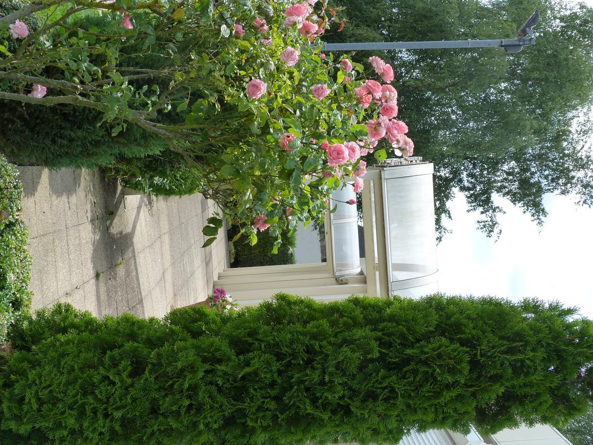 Hostellerie Du Chateau Saint-Pere-sur-Loire Εξωτερικό φωτογραφία